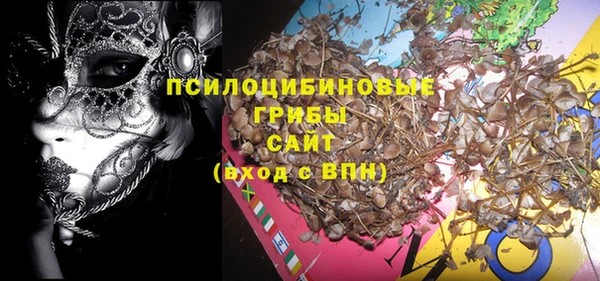 шишки Кукмор