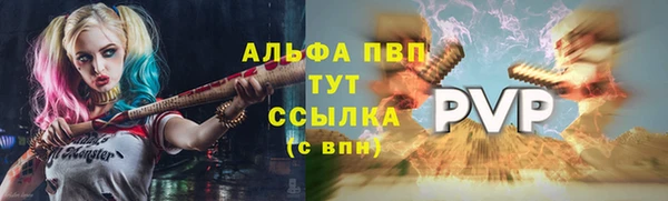 шишки Кукмор