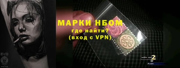 индика Корсаков