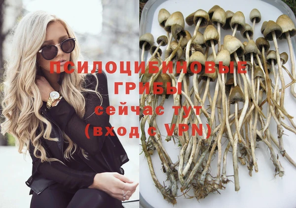стафф Струнино